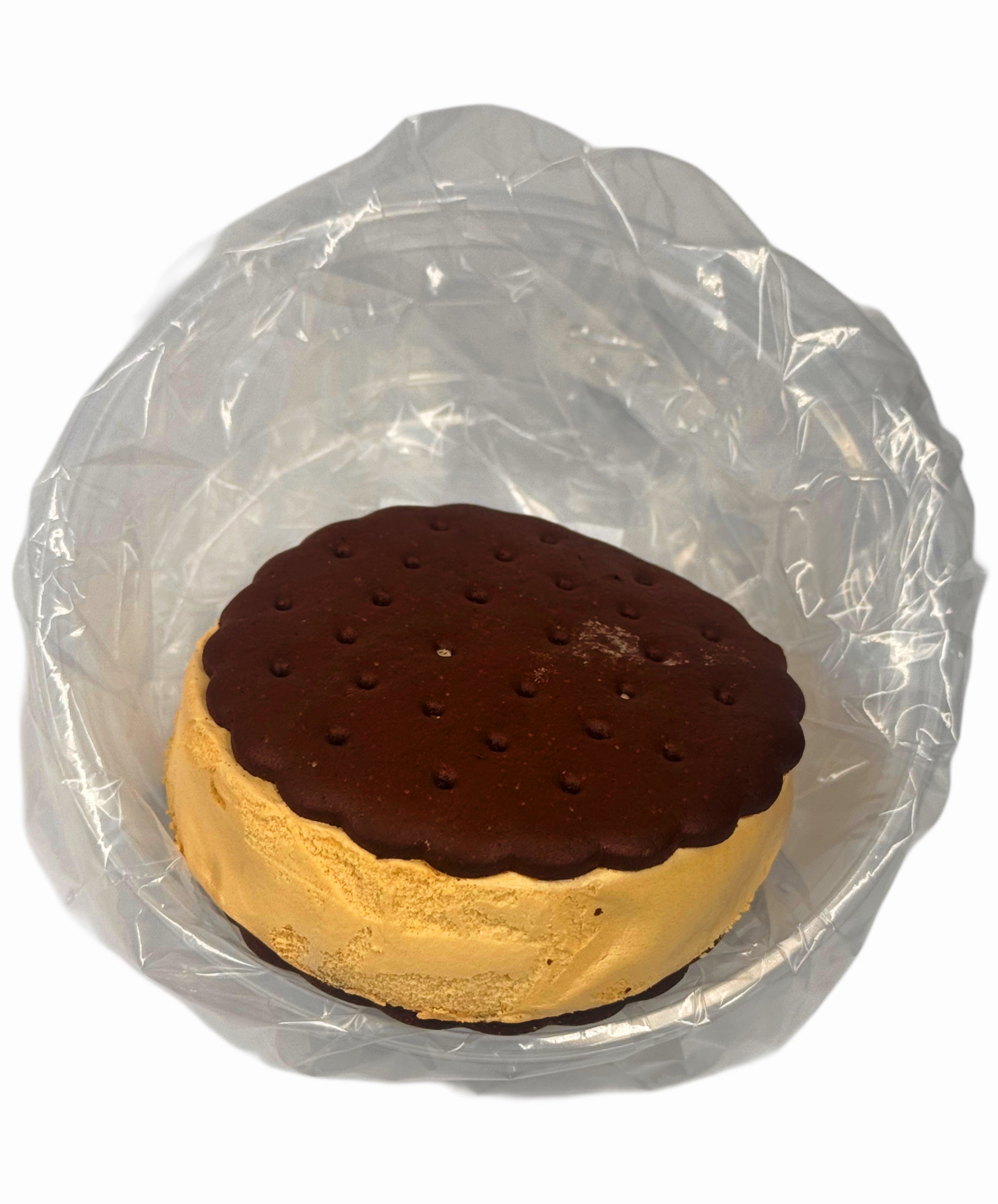 *LIMITED EDITION* REESE'S SPACE SANDWICH