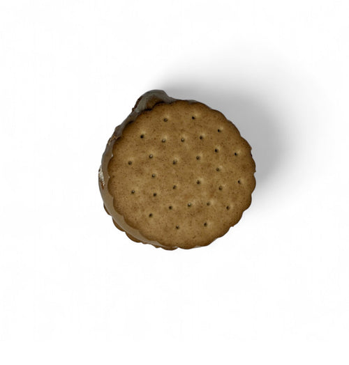 *LIMITED EDITION* Smore'z Space Sandwich